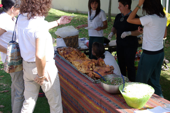 Schwein beim Sportfest